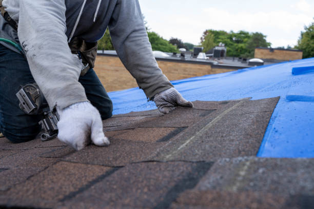 Best Storm Damage Roof Repair  in South Pasadena, FL